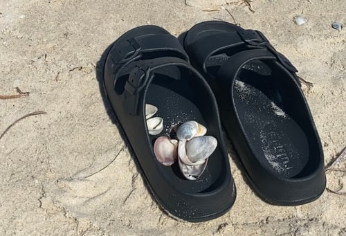 Muscheln in einem Badelatschen