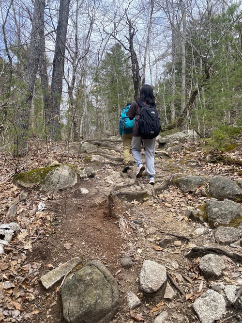 Zwei Mädchen beim Wandern im Wald