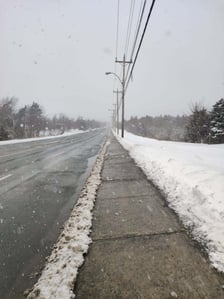 Kimi Krüger Monatsbericht Februar 1