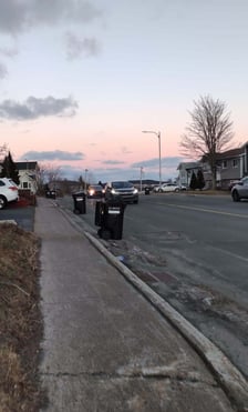 Kimi Krüger Monatsbericht Februar 2