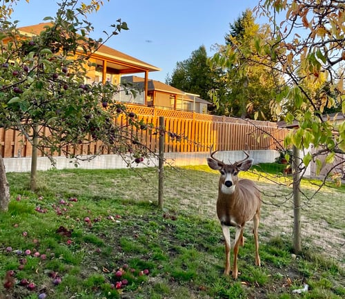 Kleine Städte mit familiärerer Atmosphäre