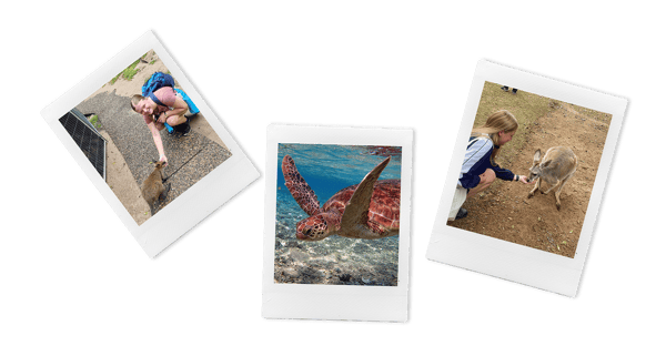 Tierein_Australien_Weniger_gefährlich_als_du_denkst