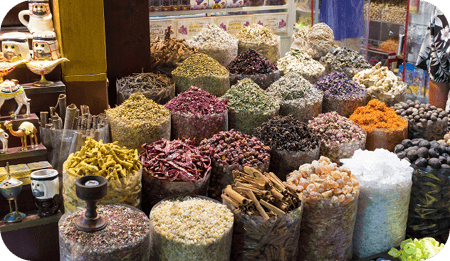 Leben als Schüler in Dubai