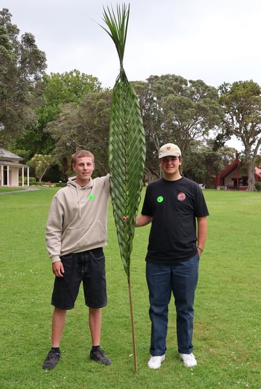 Maori-Kultur erleben