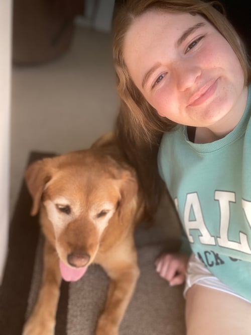 Ein Mädchen und ein brauner Hund