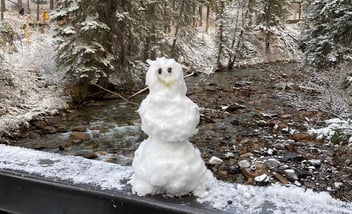 Blog Article Featured Image 6