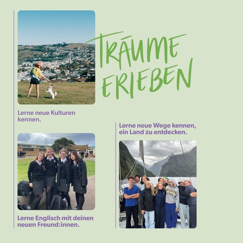 NZ öffentlich2-1