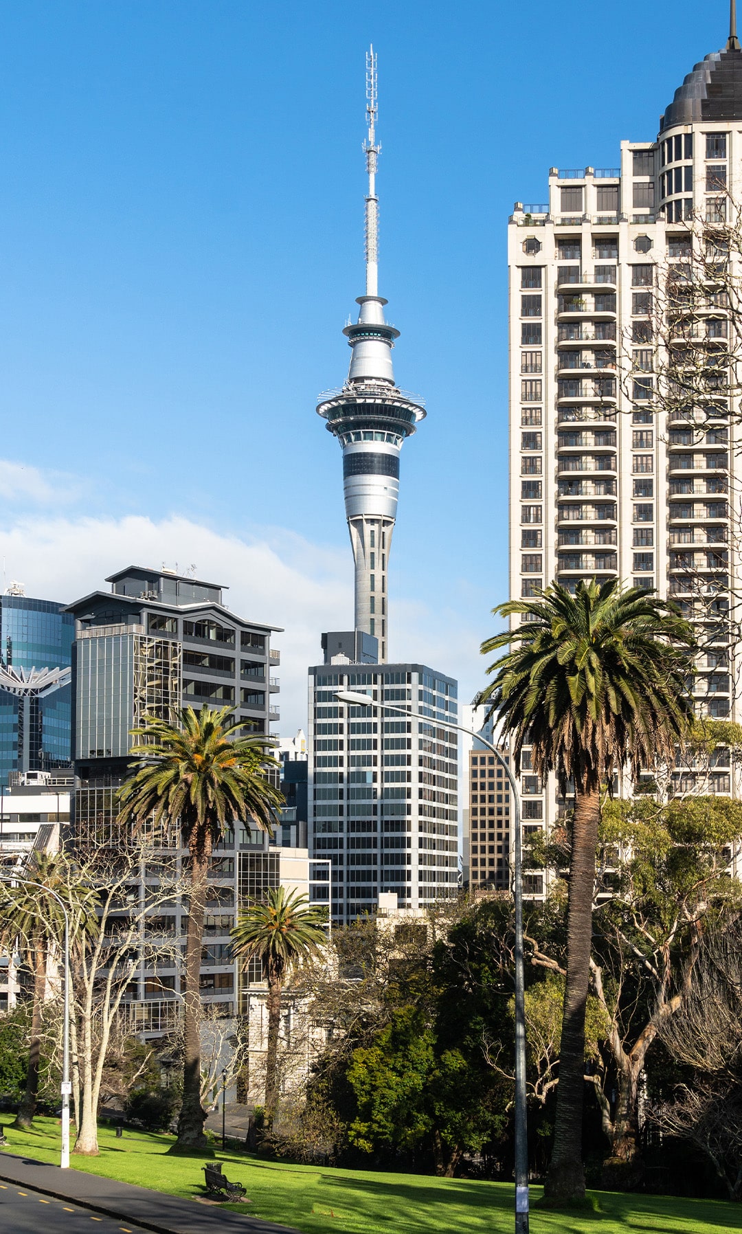 NZ 4-min