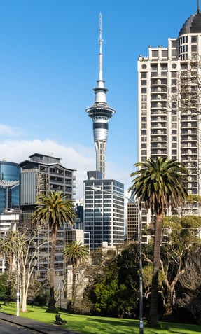 NZ 4-min