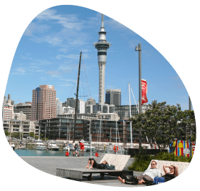 NZ Map-01-min