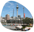 NZ Map-01-min