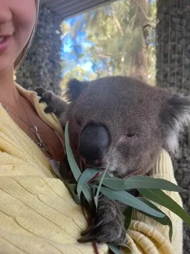 Naturvielfalt direkt vor der Tür 