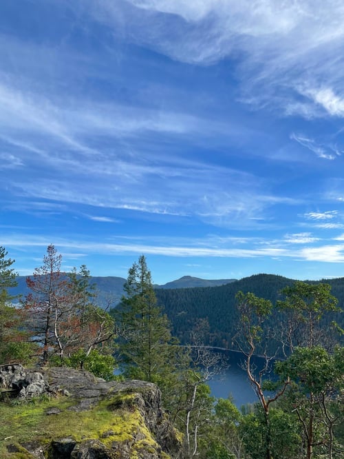 Himmel, See und Bäume