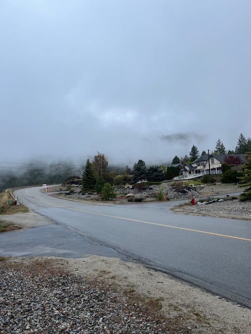Eine Straße mit nebelbedeckten Bäumen
