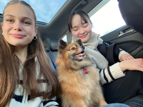 Zwei Mädchen und ein Hund im Auto