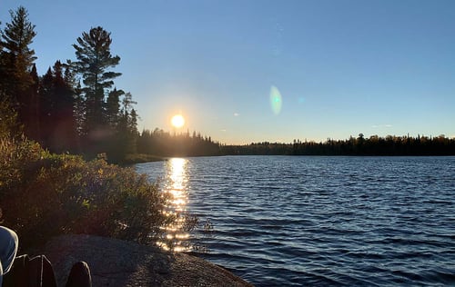 Ein See mit grünen Bäumen und Büschen und tief liegender Sonne, die über das Wasser scheint
