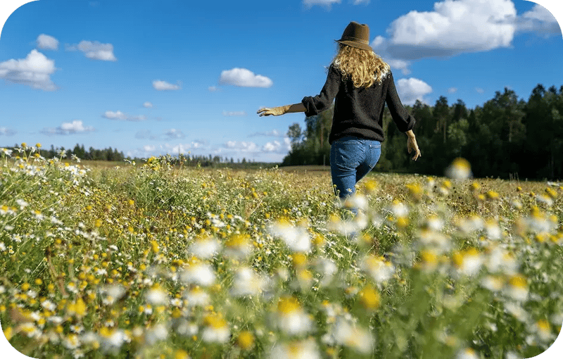 SEO FIN Schule & Freizeit R 3-3