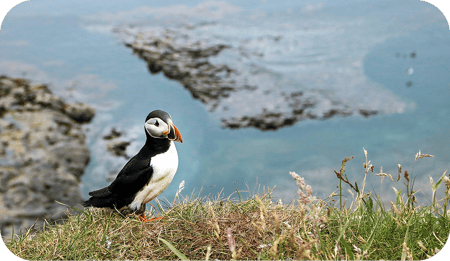 SEO JP Schule & Freizeit R  3