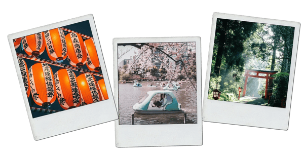 Polaroid 3