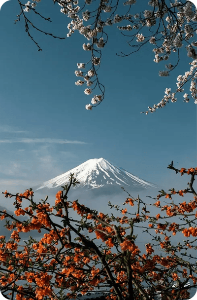 SEO JP Programm 3