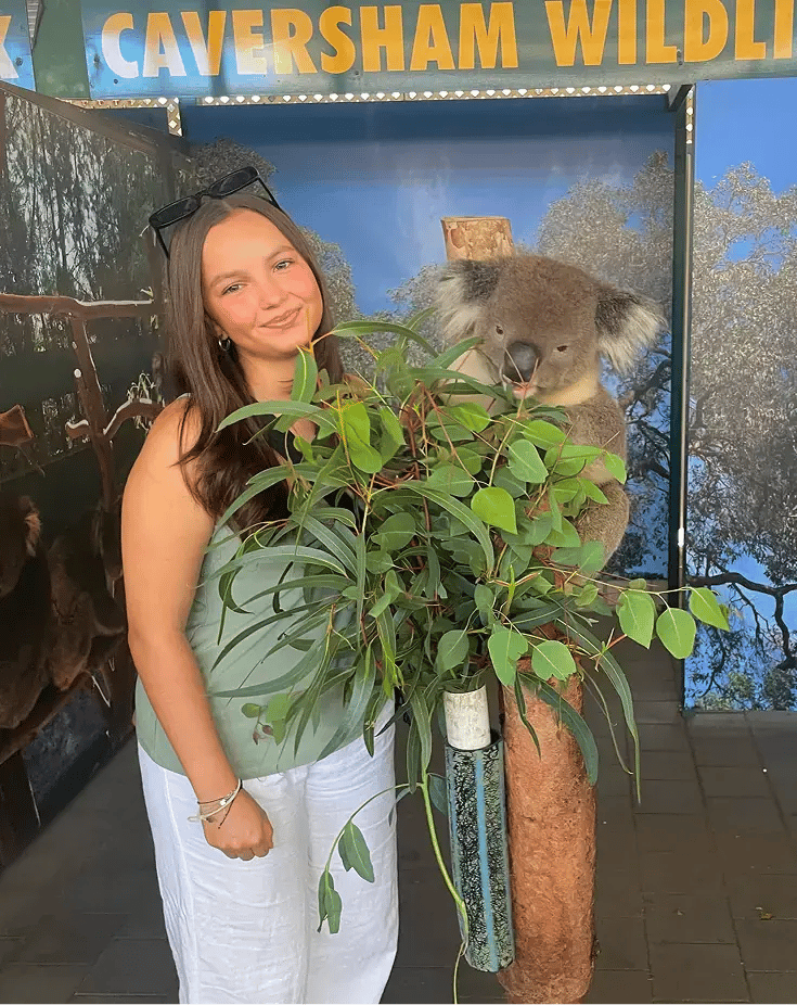 Schülerin Australien Koala