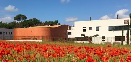 International Bilingual School of Provence