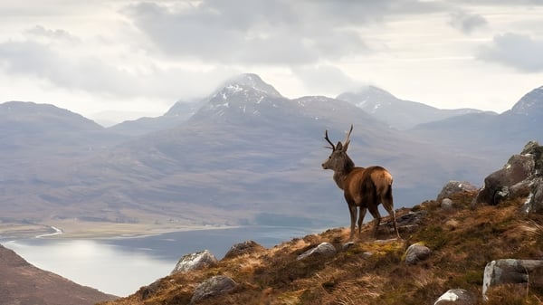 Eine Berglandschaft mit einem Reh auf einem Felsen über einem See in der Umgebung der Abbotsholme School.