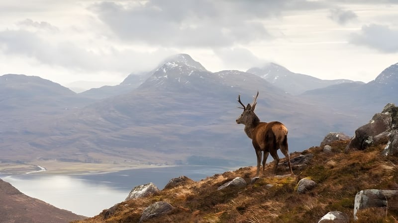Eine Berglandschaft mit einem Reh auf einem Felsen über einem See in der Umgebung der Abbotsholme School.