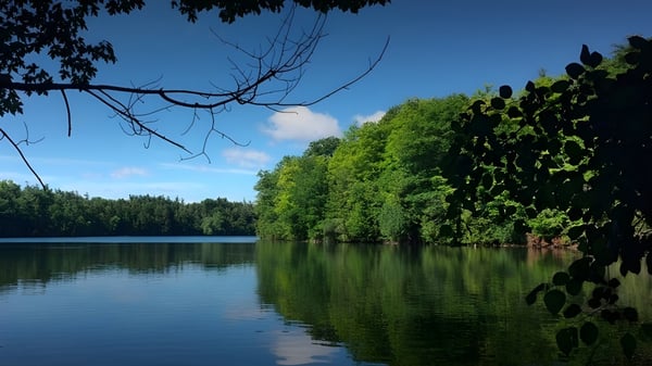 Ein ruhiger See mit üppigem Grün und blauem Himmel in der Nähe der Alexander Mackenzie High School.