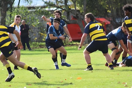 Eine Gruppe von Schülern des Aotea College spielt Rugby auf einem grasbewachsenen Spielfeld umgeben von Bäumen.