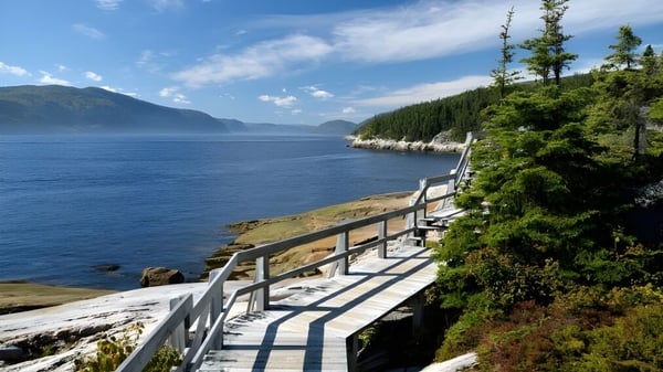 Ein Küstenwanderweg mit Felsen und immergrünen Bäumen auf dem Gelände von Ashbury College unter blauem Himmel.