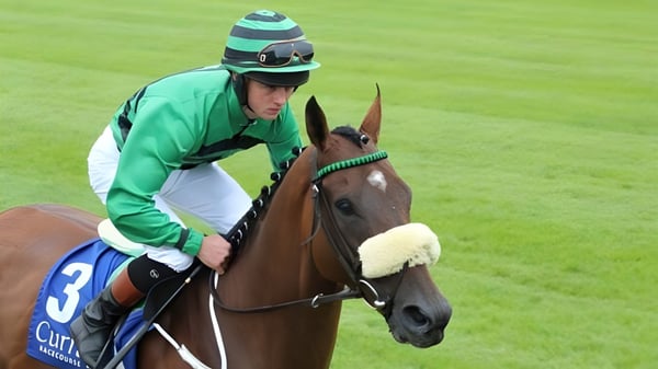 Ein Jockey in grün-weiß gestreiftem Outfit reitet ein braunes Pferd auf der Rennbahn des Athy College.