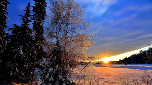 Verschneite Winterlandschaft mit gefrorenem See und kahlen Bäumen bei Sonnenuntergang in der Umgebung von Baccalieu Collegiate.