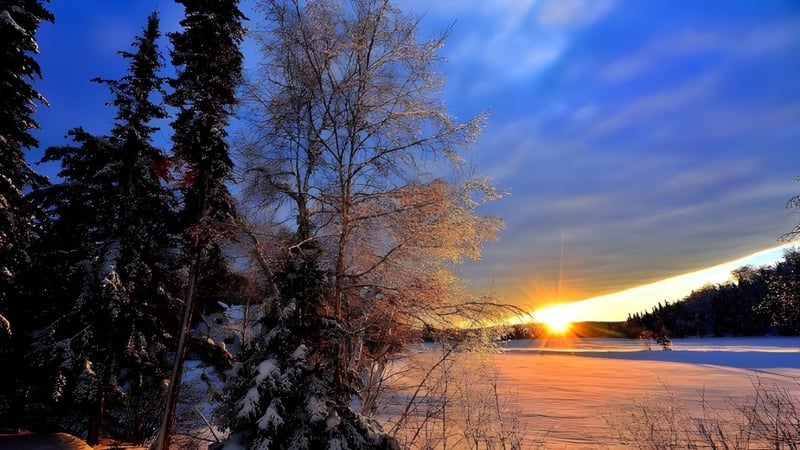 Verschneite Winterlandschaft mit gefrorenem See und kahlen Bäumen bei Sonnenuntergang in der Umgebung von Baccalieu Collegiate.