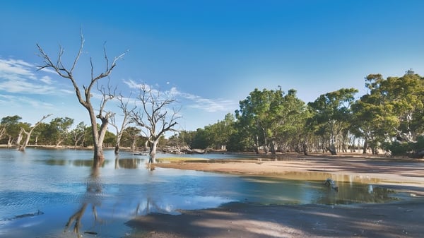 Ein ruhiger See mit kahlen Bäumen im Wasser und Wald im Hintergrund nahe der Balcatta Senior High School.