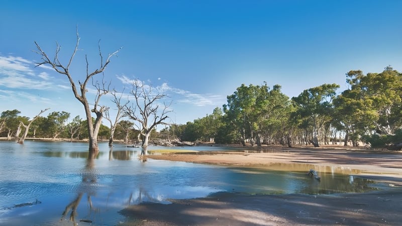 Ein ruhiger See mit kahlen Bäumen im Wasser und Wald im Hintergrund nahe der Balcatta Senior High School.