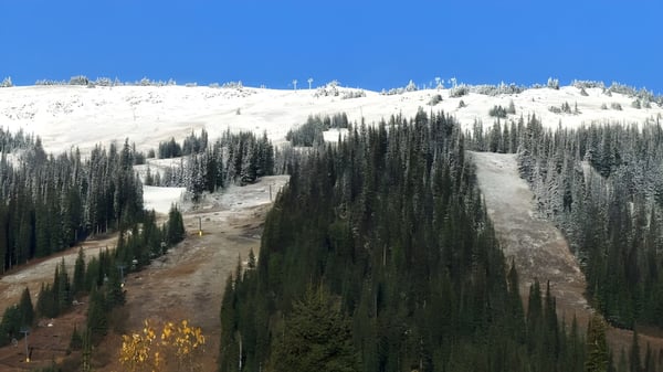 Ein verschneiter Berg mit einem Wald aus immergrünen Bäumen vor dem Campus der Ballenas Secondary School.