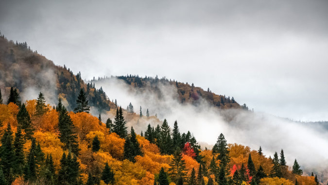 Herbstliche Landschaft mit buntem Laub und Nebel umgibt die Balmoral Hall High School.