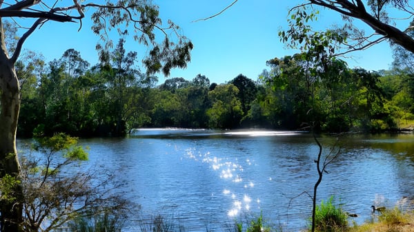 Ein ruhiger See mit grünen Bäumen und blauem Himmel in der Umgebung des Banksia Park International High School.