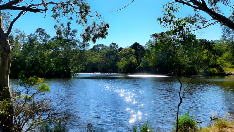 Ein ruhiger See mit grünen Bäumen und blauem Himmel in der Umgebung des Banksia Park International High School.