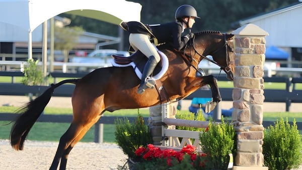 Ein Reiter springt mit seinem Pferd über ein Hindernis auf dem Gelände der Beechwood Sacred Heart School.