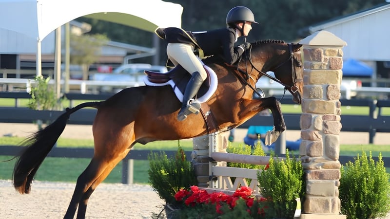 Ein Reiter springt mit seinem Pferd über ein Hindernis auf dem Gelände der Beechwood Sacred Heart School.
