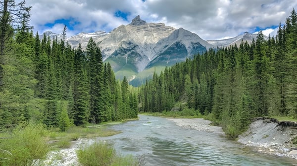 Ein gewundener Fluss fließt durch ein grünes Tal mit bewaldeten Hängen vor schneebedeckten Bergen auf dem Gelände der Belmont Secondary School.