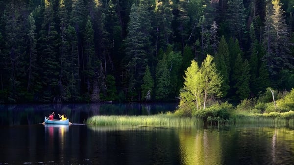 Ein kleines Boot liegt auf einem ruhigen See nahe einem Wald auf dem Gelände der Beurling Academy.