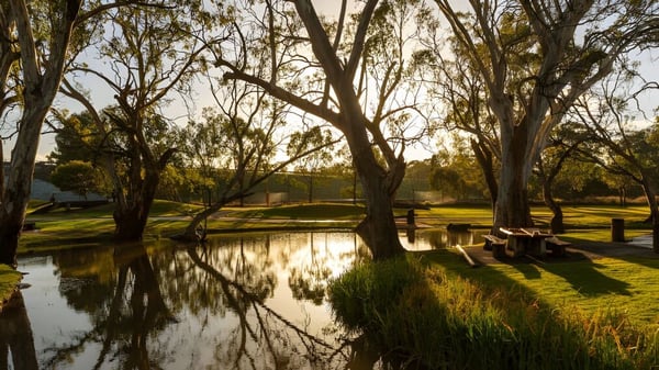 Ein Teich mit Bäumen und Wiesen im Sonnenuntergang auf dem Gelände der Bordertown High School.
