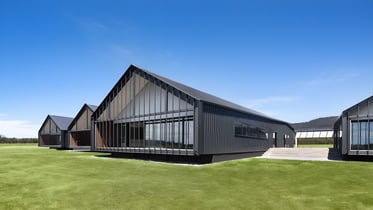 Braemar College