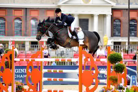 Ein Reiter springt mit einem braunen Pferd über ein orangefarbenes Hindernis bei einem Außenwettbewerb auf dem Gelände der Brentwood School.