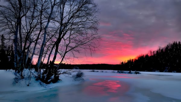 Ein zugefrorener See mit kahlen Bäumen spiegelt den farbenfrohen Sonnenuntergang auf dem Gelände des Brockville Collegiate Institute wider.