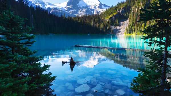 Ein türkisfarbener See mit umliegendem Nadelwald und schneebedeckten Bergen im Hintergrund nahe der Burnaby North School.