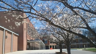Calvary Day School